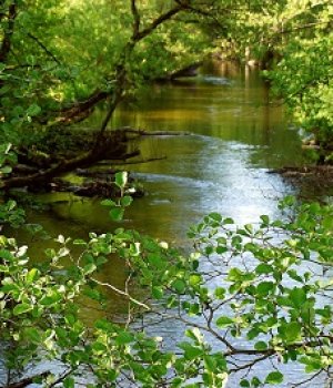 Światowy Dzień Dzikiej Przyrody
